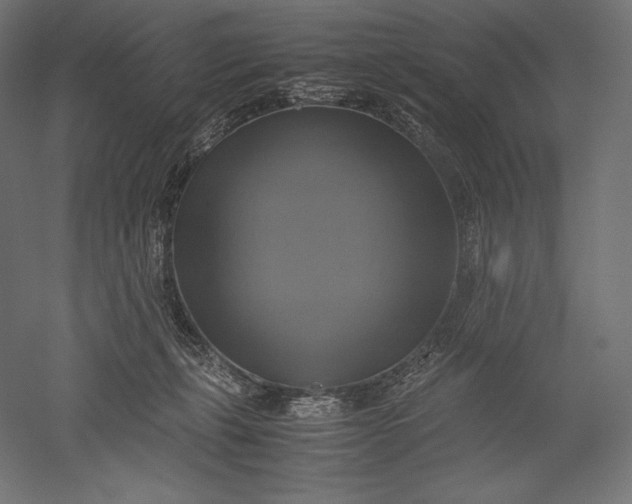 X0000051240271200507011634