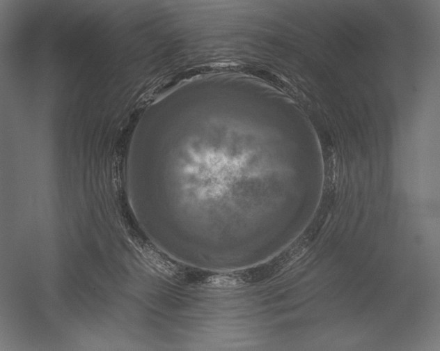 X0000051240272200507011634