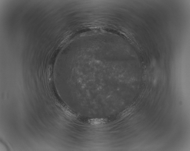 X0000051240273200507011634