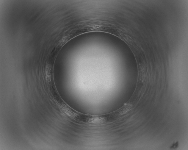 X0000051240274200507011634