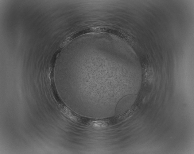 X0000051240275200507011634