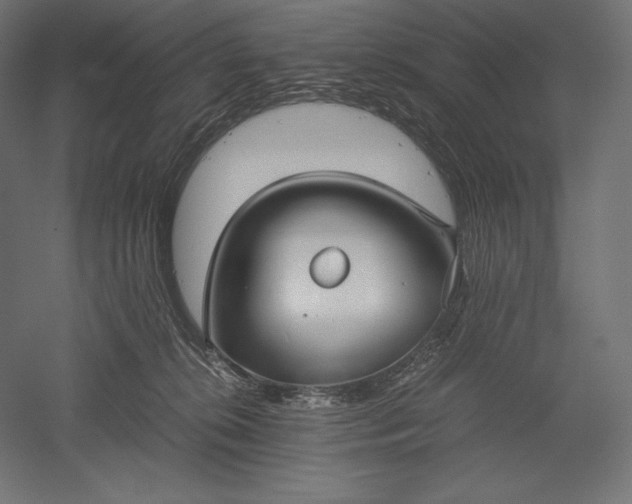 X0000051240276200507011634