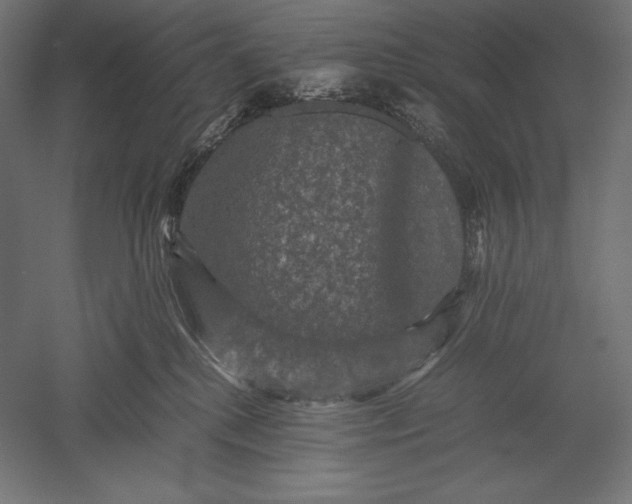 X0000051240280200507011634