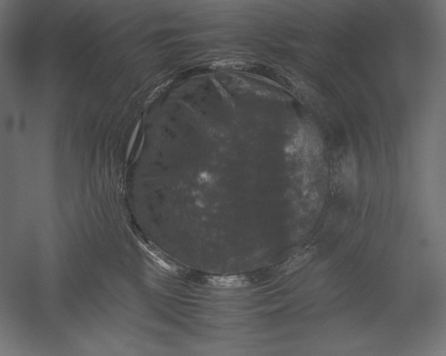 X0000051240281200507011634