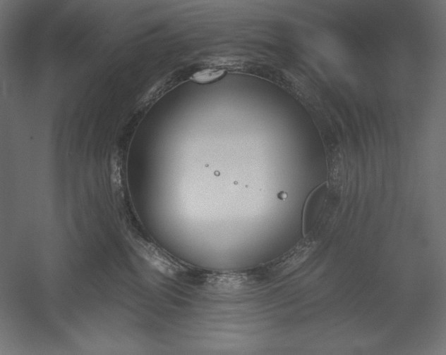 X0000051240282200507011634