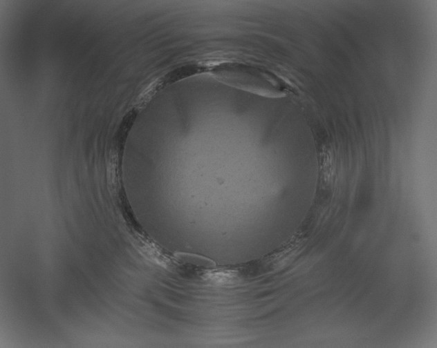 X0000051240283200507011634