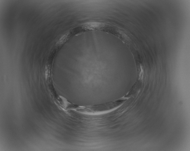 X0000051240284200507011634