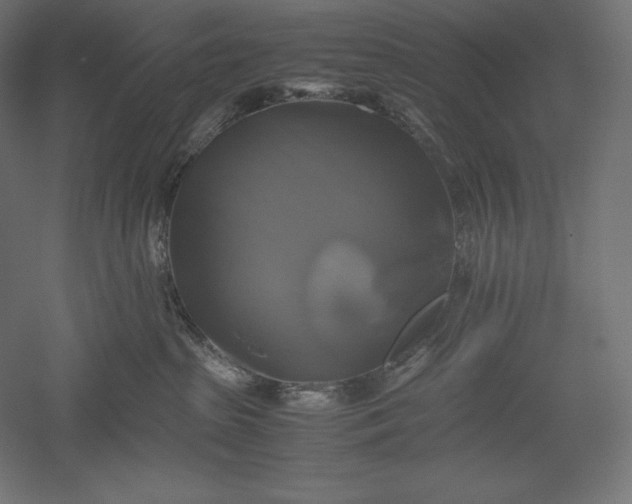 X0000051240285200507011634