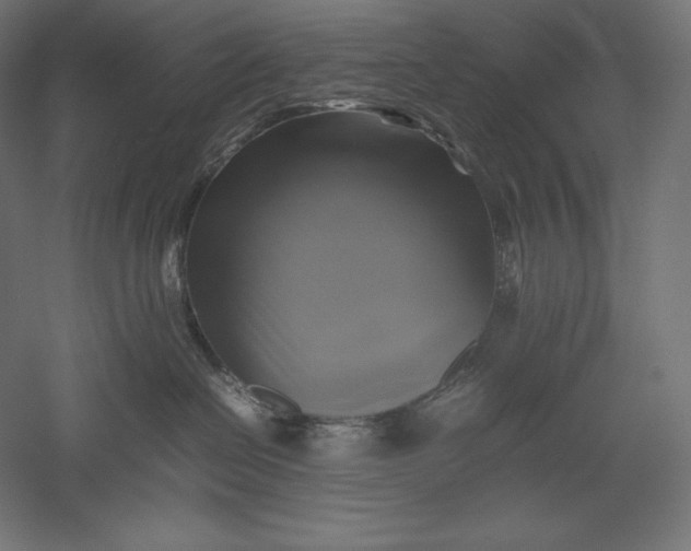 X0000051240286200507011634