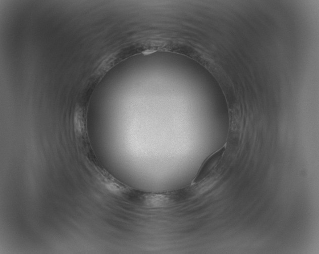 X0000051240287200507011634