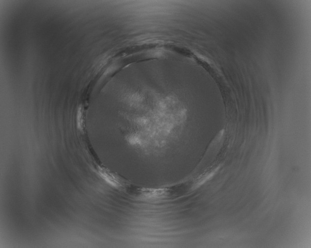 X0000051240288200507011634