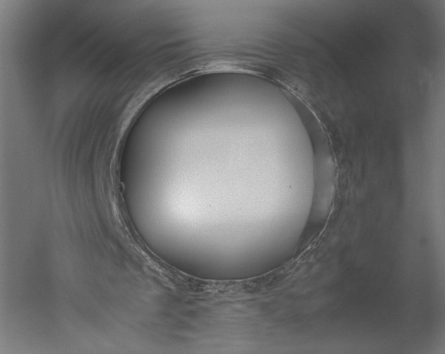 X0000051240289200507011633