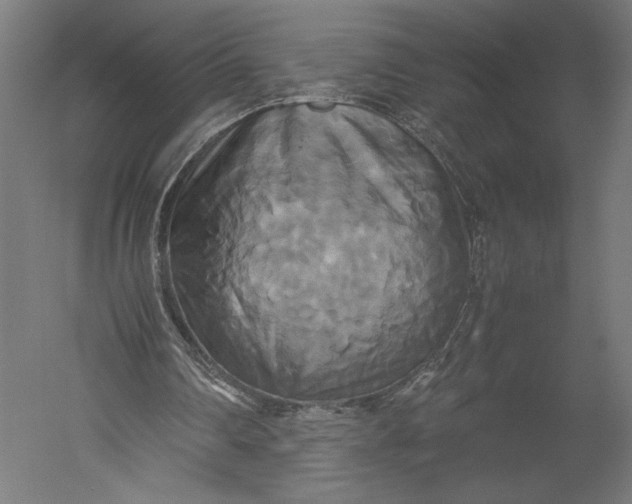 X0000051240290200507011633