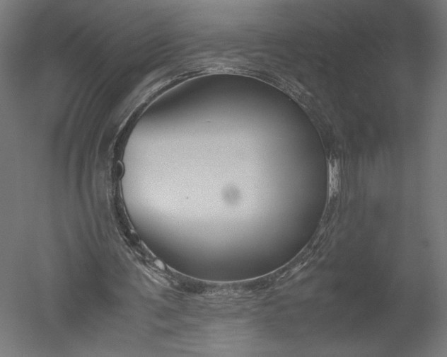 X0000051240291200507011633