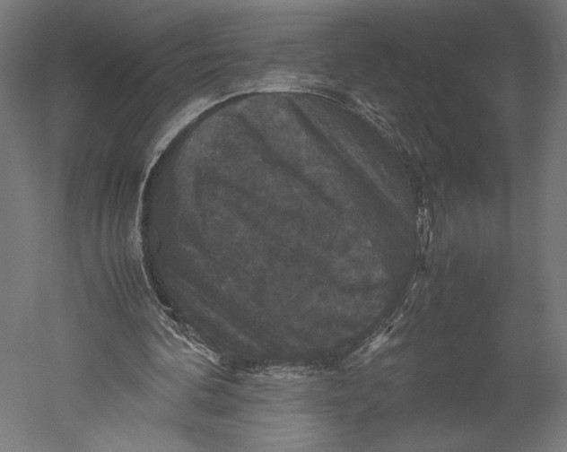 X0000051240292200507011633