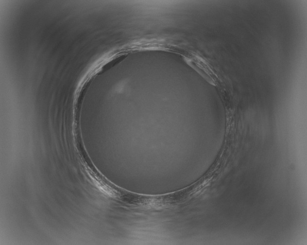 X0000051240293200507011633