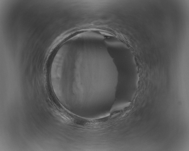 X0000051240295200507011633