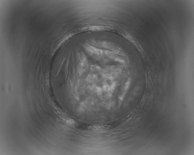 X0000051240297200507011633