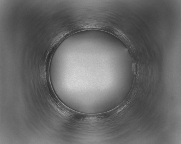 X0000051240298200507011633