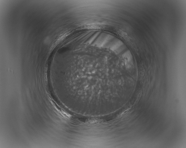 X0000051240299200507011633