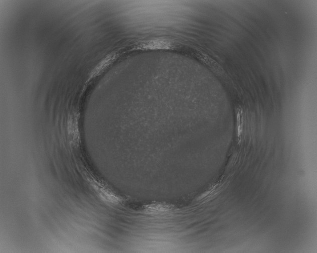 X0000051240300200507011633