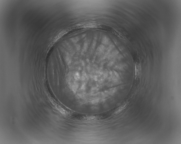 X0000051240301200507011633