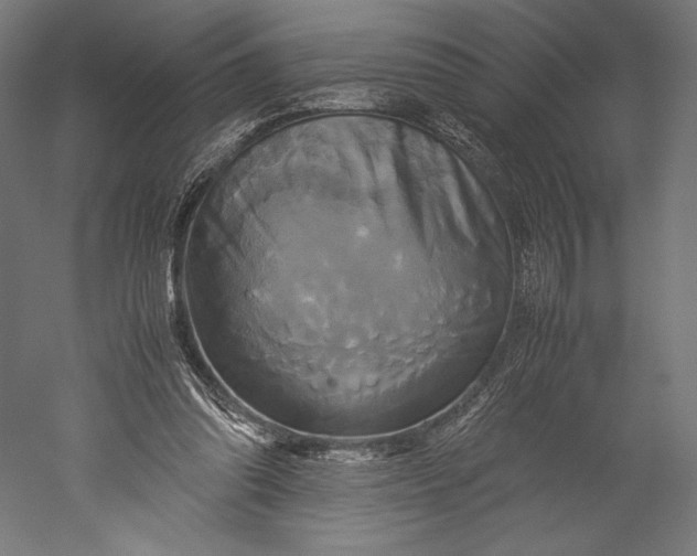 X0000051240302200507011633