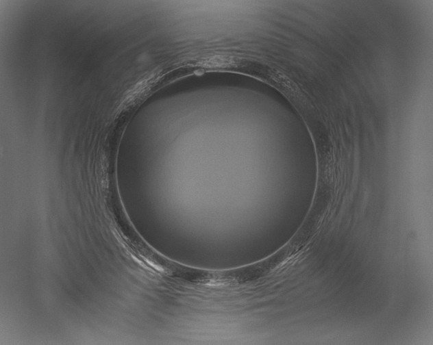 X0000051240303200507011633