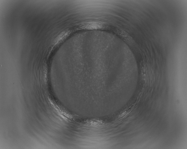 X0000051240304200507011633