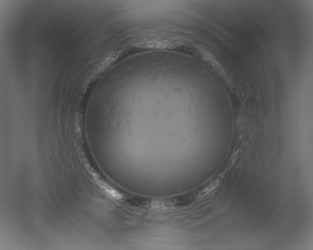 X0000051240305200507011633