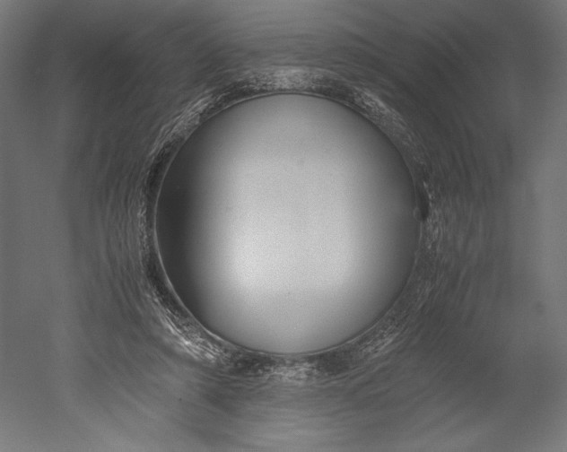 X0000051240306200507011633