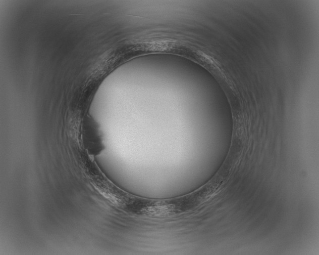 X0000051240307200507011633