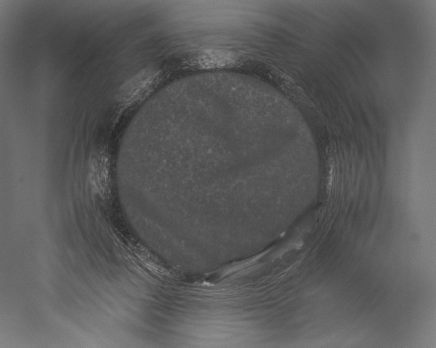 X0000051240308200507011633