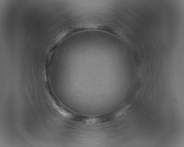 X0000051240309200507011633