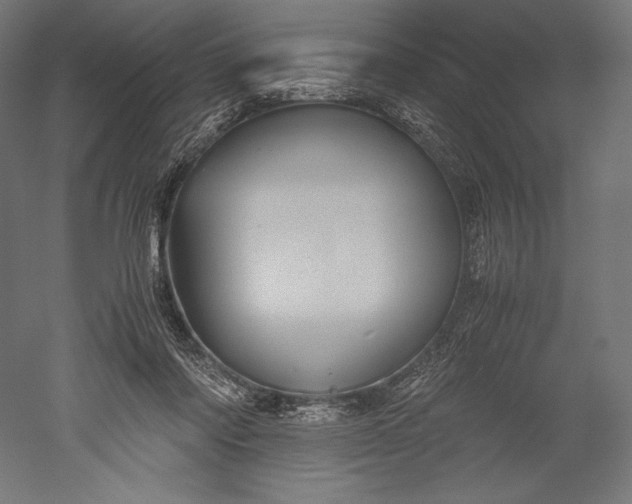 X0000051240310200507011633