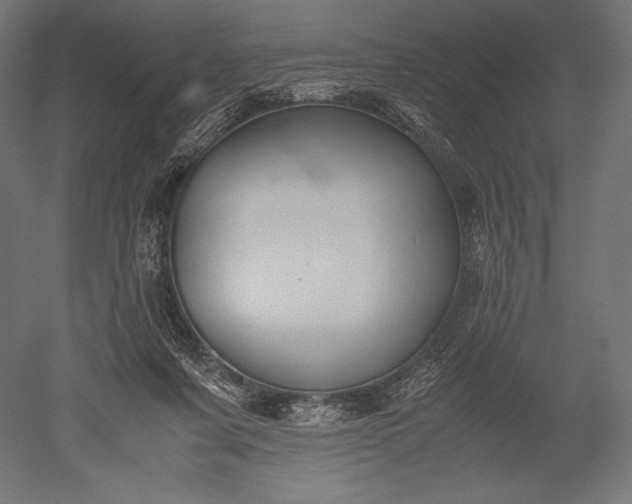 X0000051240311200507011633