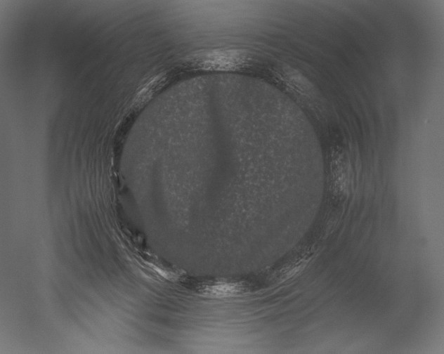 X0000051240312200507011633