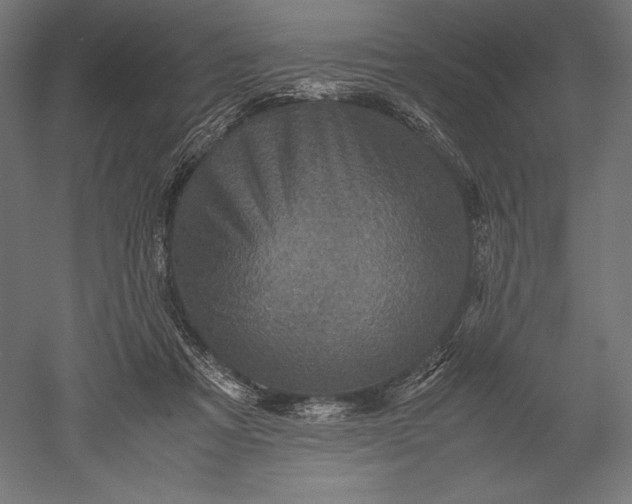 X0000051240313200507011633