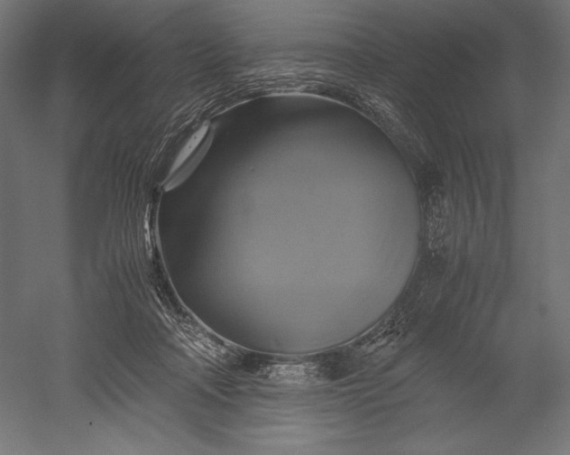 X0000051240314200507011633