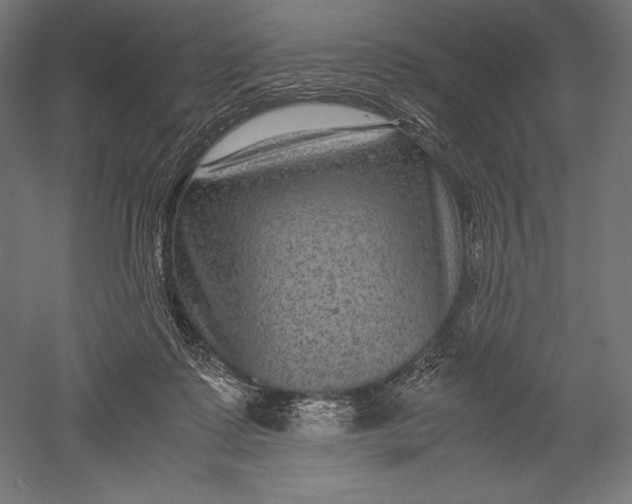 X0000051240315200507011633