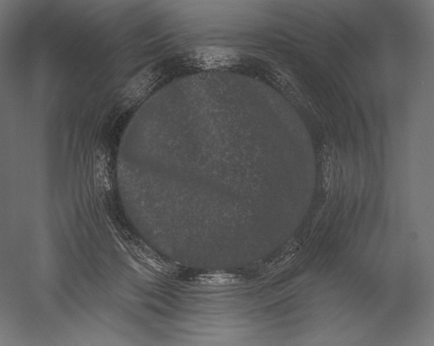 X0000051240316200507011633