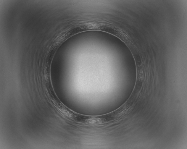 X0000051240317200507011633