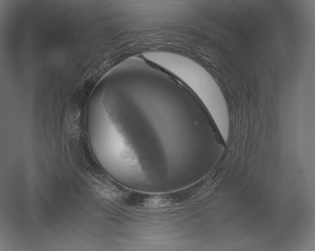 X0000051240319200507011633