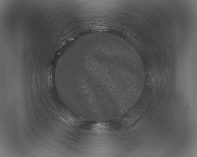 X0000051240320200507011633