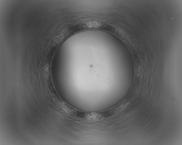 X0000051240321200507011633