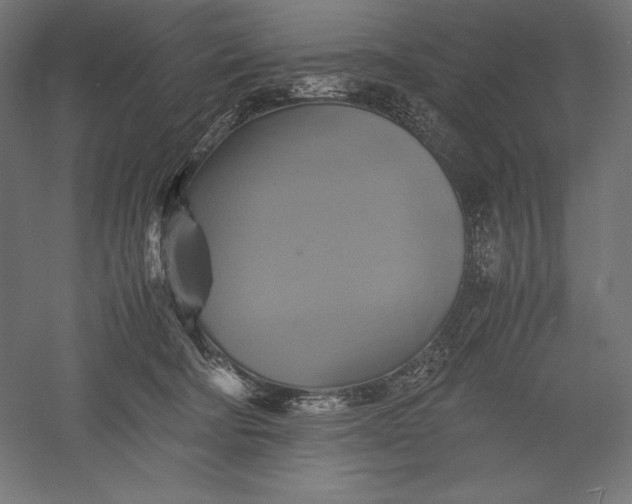 X0000051240322200507011633