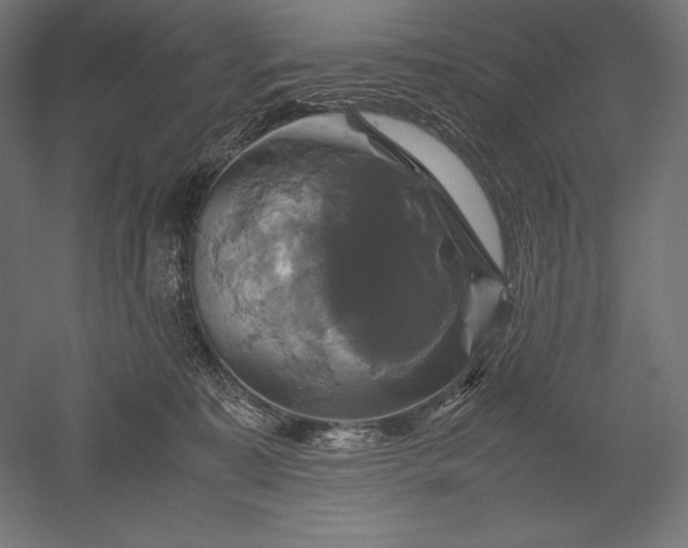 X0000051240323200507011633