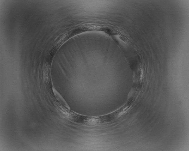 X0000051240325200507011633