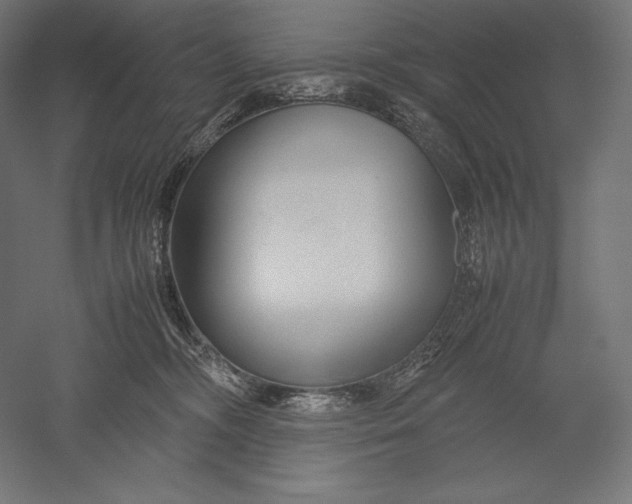 X0000051240326200507011633