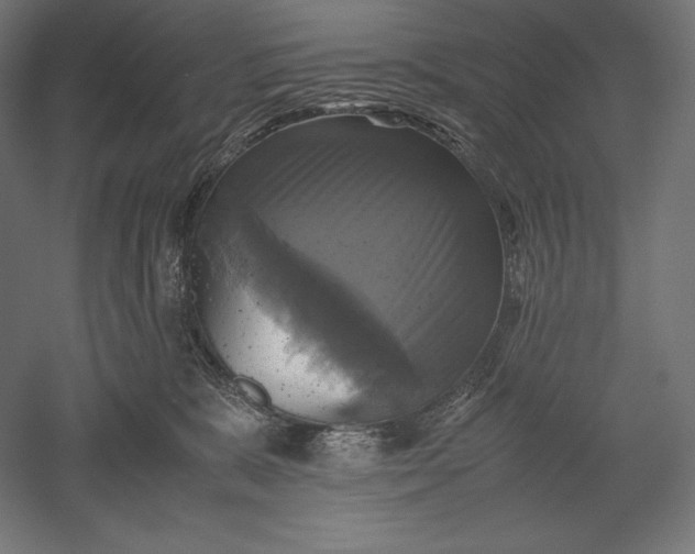 X0000051240327200507011633